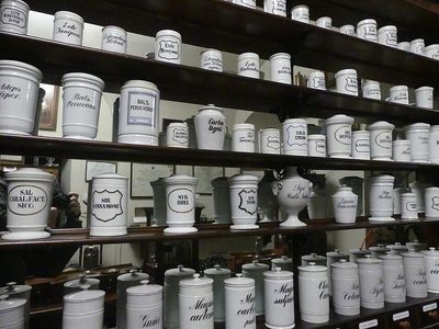 Thực Tập Sinh Quản Lý Đơn Hàng Dược Phẩm Bán Thời Gian - Công ty TNHH Tư Vấn Dịch Vụ Chồi Xanh